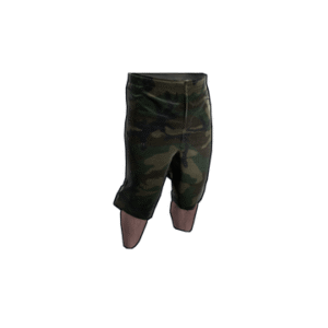 Camo Shorts