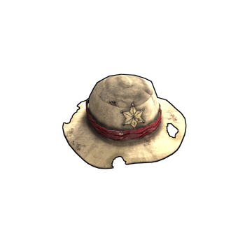 Cowboy Hat