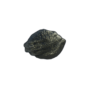 Dragon Egg