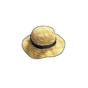 Farmer Straw Hat
