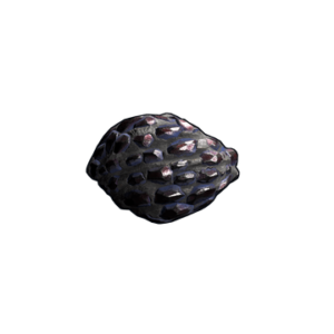 Morganite Rock