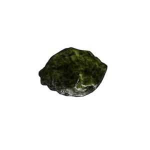 Mossy Fossil