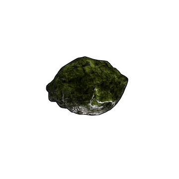 Mossy Fossil
