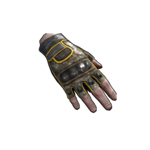 Motorcycle Gloves