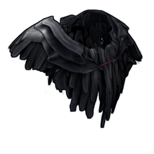 Raven Poncho