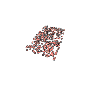 Rose Pedals Rug