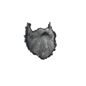 Santa Beard