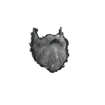 Santa Beard