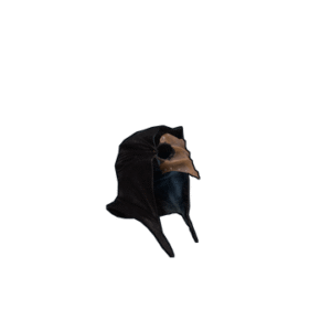 The Plague Doctor